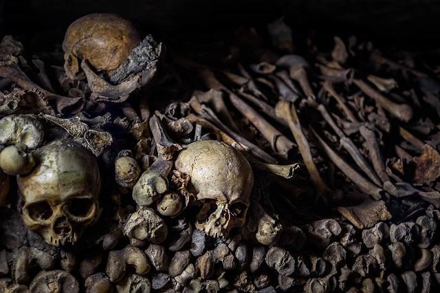 Qué es la antropología forense definición e historia Cefegen