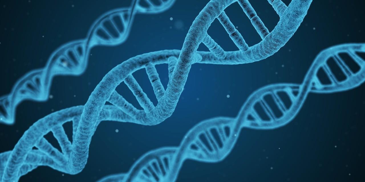 Quién descubrió la estructura del ADN? - Cefegen